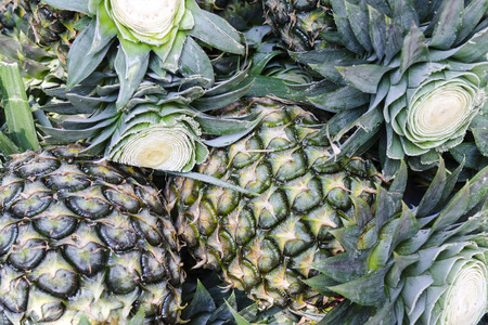 Fresh Pineapple background