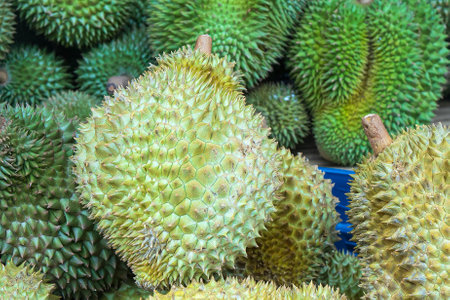Pile of Monthong durian. Monthong durian in the basket.