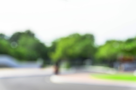 green from tree / blurred tree and bokeh tree / Blurred nature background / green and white background from tree in sun light.の写真素材