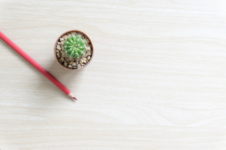 flower,and colorful pencils. View from above with copy spaceの写真素材