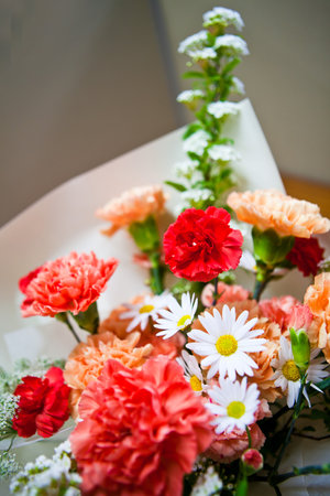 Bouquet of colorful carnations and daisies in vaseの写真素材