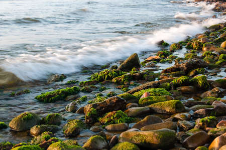 Stones on the Shoreの写真素材