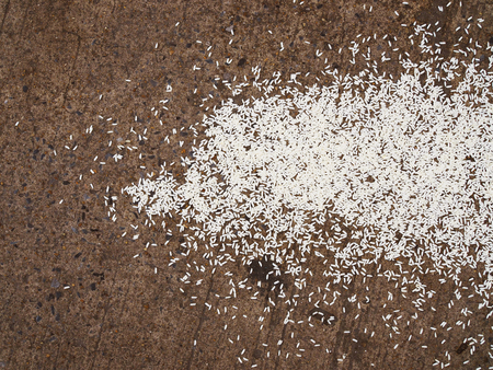 White raw long grain Thai local Jasmine rice piled on grainy texture brown grey cement road floor...