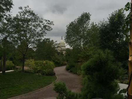 Capitol hill dome through the trees on a cloudy dayの写真素材