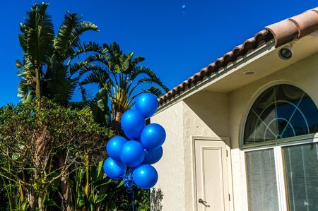 blue balloons in the yard of a homeの写真素材