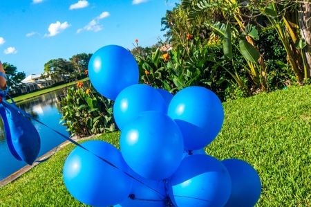 blue balloons on a string against a green lawnの写真素材