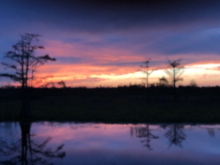 stunning sunset in the swamps of the Everglades in Floridaの写真素材