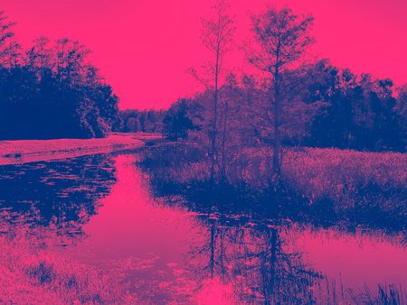 ditigally altered photograph of a landscape showing a River in the Florida Everglades.  Hot pink and...