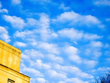 boxer dog plays with a balloon on the groundの写真素材