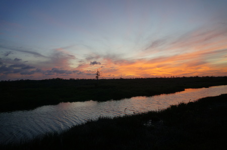 sunset in the everglades shows cypress trees and bayouの写真素材
