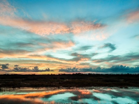 stunning sunset reflects into a river in the swampの写真素材
