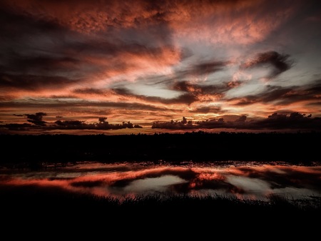 stunning sunset reflects into a river in the swampの写真素材