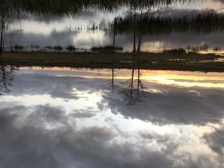 Reflection of sunset in a cypress swamp