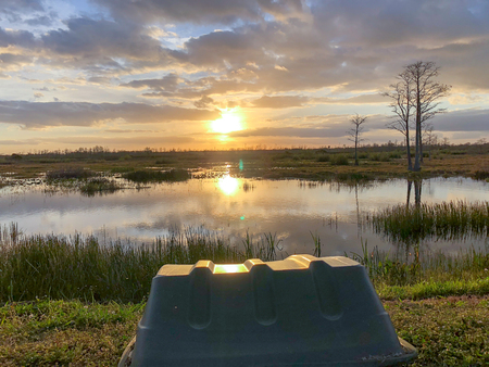 reflections of a sunset in the Florida swampsの写真素材