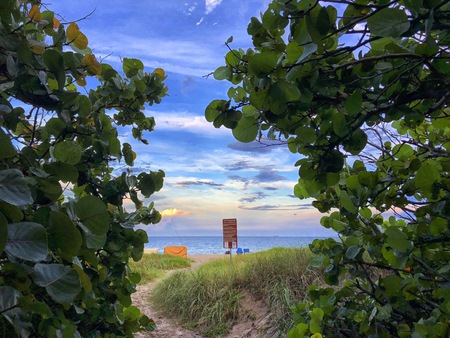 enchanted beach path through the trees at sunsetの写真素材