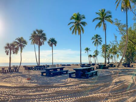 picnic benches on the beach in the morningの写真素材