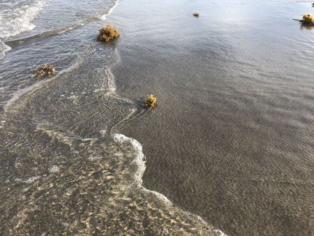 pure and clean ocean waves