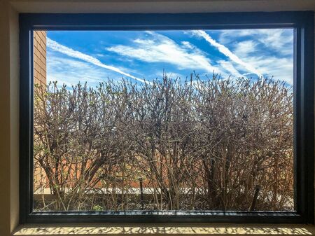 looking out the window in winter
