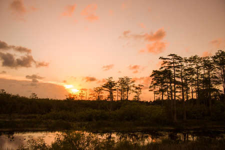 Purple and pink sunset in the wild marshの写真素材