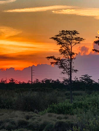 Colorful swamp sunset in Louisiana reflecting on American values.の写真素材