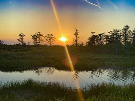 Colorful swamp sunset in Louisiana reflecting on American values.