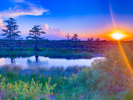 Colorful swamp sunset in Louisiana reflecting on American values.の写真素材