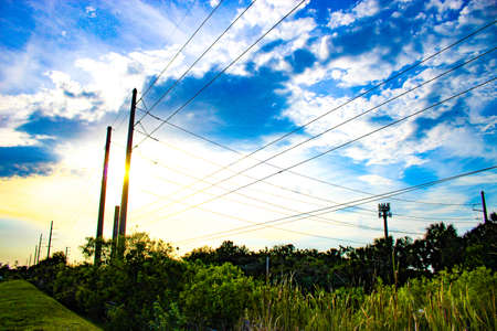 Blue sky and overhead power lines and transformers in swamp