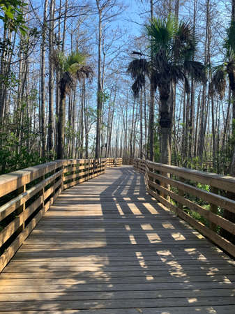 Grassy waters everglades preserve in Palm Beach Gardens, Floridaの写真素材