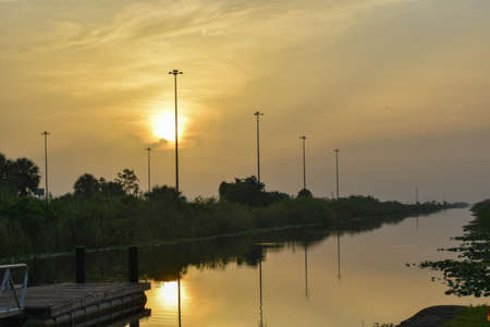 Sunrise in the South Florida swamp on a cloudy dayの写真素材