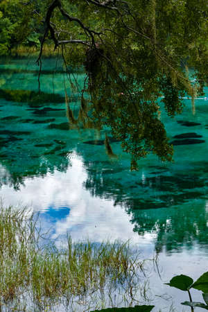 Turquoise waters of the fresh water springs of Florida during a rain stormの写真素材