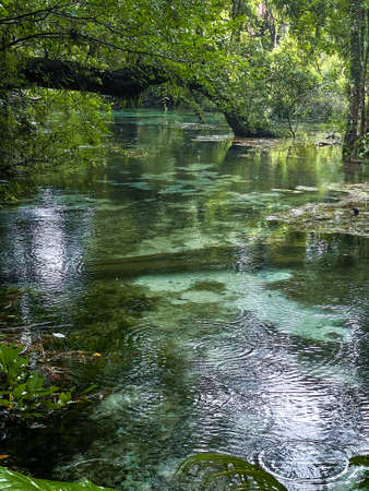 Turquoise waters of the fresh water springs of Florida during a rain stormの写真素材