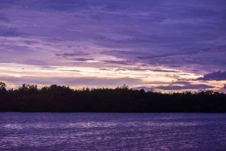 Beautiful sky in the marsh of Marco Island, southwest Floridaの写真素材