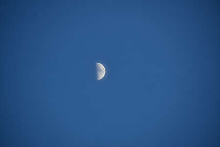 Moon in the swamp at nightの写真素材