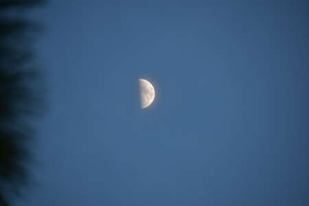 Moon in the swamp at nightの写真素材