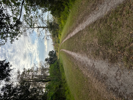Winding road through the forest in the spring. Natural landscape backgroundの写真素材