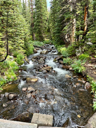 Mountain stream in Yosemite National Park, California, United States.の写真素材