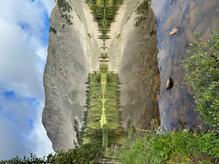 Pine trees reflected in the water of a mountain lake, Switzerlandの写真素材