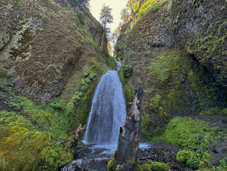 Waterfall in the forest. Waterfall in the mountains of the Caucasus.の素材