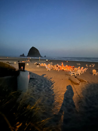Beach at night in Rio de Janeiro, Brazil, South Americaの素材