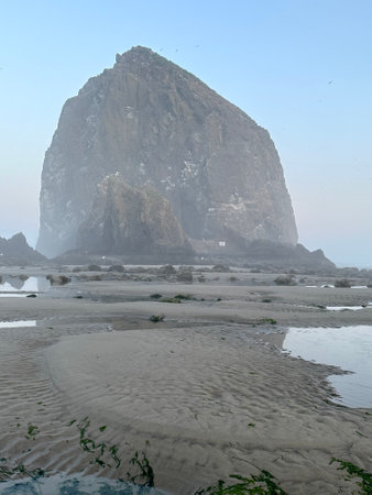 Beach at low tide with rocks in the background and blue skyの素材