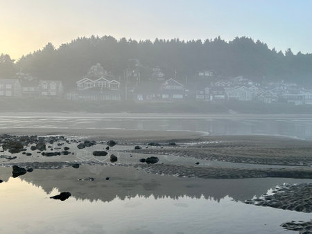 Foggy morning at the beach in the North of Sweden.の素材