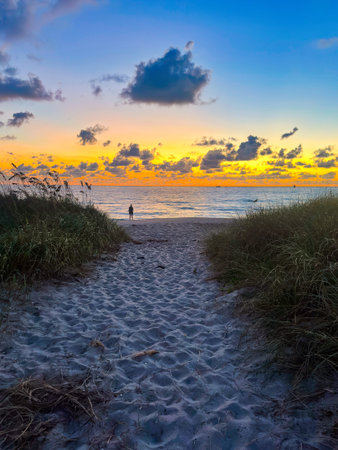 Golden sunrise over the Atlantic Ocean viewed through sea oats and sand dunes in Florida, with a lone figure silhouetted along the shoreline beneath dramatic clouds.の写真素材