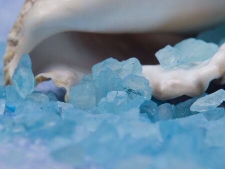Marine salt, cockleshell and blue towelの写真素材