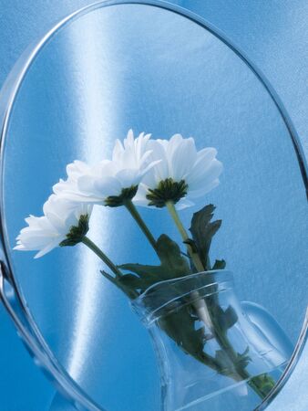 Reflection in a mirror bouquet の写真素材