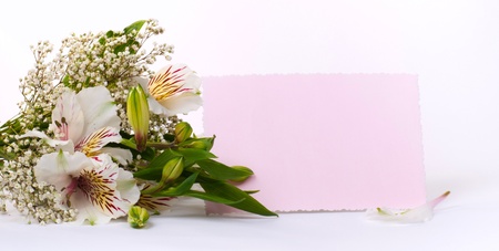Flower white Alstroemeria and card for your text  の写真素材