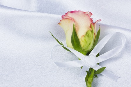 Rose and weddings rings on a background white silkの写真素材
