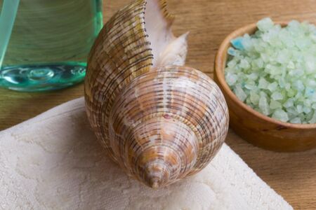 Set for the care of bodyの写真素材