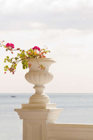 Vase of flowers against the seaの写真素材