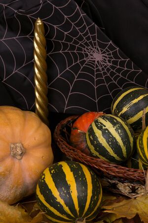 Multi-colored mature pumpkin closeupの写真素材