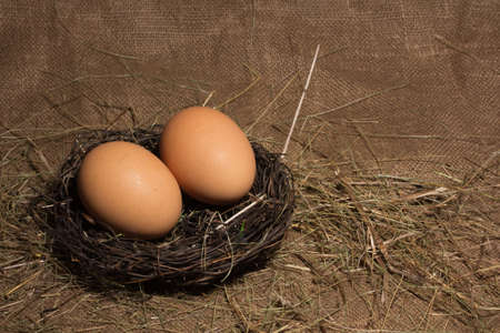 Eggs in a nest on a hay